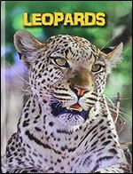 Leopards (Living in the Wild: Big Cats)