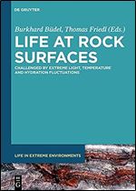 Life at rock surfaces: challenged by extreme light, temperature and hydration fluctuations (Issn)