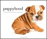 Puppyhood: Life-size Portraits of Puppies at 6 Weeks Old