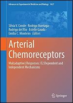 Arterial Chemoreceptors: Mal(adaptive) Responses: O2 Dependent and Independent Mechanisms (Advances in Experimental Medicine and Biology, 1427)