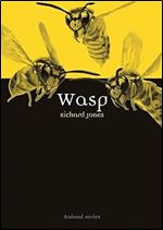 Wasp (Animal)