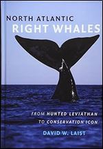 North Atlantic Right Whales: From Hunted Leviathan to Conservation Icon
