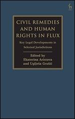 Civil Remedies and Human Rights in Flux: Key Legal Developments in Selected Jurisdictions