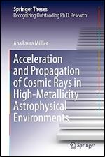 Acceleration and Propagation of Cosmic Rays in High-Metallicity Astrophysical Environments (Springer Theses)