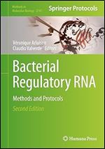 Bacterial Regulatory RNA: Methods and Protocols (Methods in Molecular Biology, 2741) Ed 2