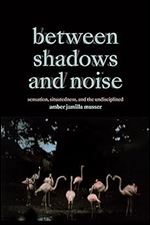 Between Shadows and Noise: Sensation, Situatedness, and the Undisciplined