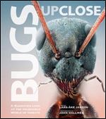 Bugs Up Close: A Magnified Look at the Incredible World of Insects