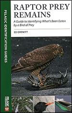Raptor Prey Remains: A Guide to Identifying What s Been Eaten by a Bird of Prey