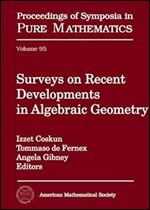 Surveys on Recent Developments in Algebraic Geometry (Proceedings of Symposia in Pure Mathematics) (Proceedings of Symposia in Pure Mathematics, 95)