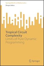 Tropical Circuit Complexity: Limits of Pure Dynamic Programming (SpringerBriefs in Mathematics)