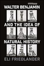 Walter Benjamin and the Idea of Natural History (Cultural Memory in the Present)