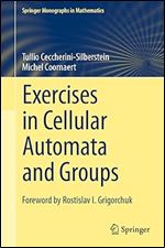 Exercises in Cellular Automata and Groups (Springer Monographs in Mathematics)