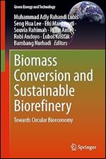Biomass Conversion and Sustainable Biorefinery: Towards Circular Bioeconomy (Green Energy and Technology)