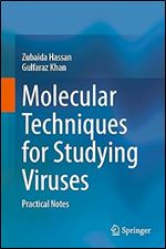 Molecular Techniques for Studying Viruses: Practical Notes