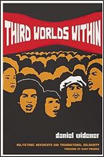 Third Worlds Within: Multiethnic Movements and Transnational Solidarity