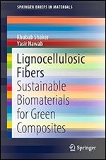 Lignocellulosic Fibers: Sustainable Biomaterials for Green Composites (SpringerBriefs in Materials)