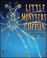 Little Monsters of the Ocean: Metamorphosis under the Waves