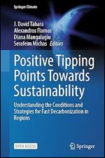 Positive Tipping Points Towards Sustainability: Understanding the Conditions and Strategies for Fast Decarbonization in Regions (Springer Climate)