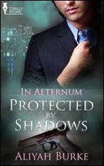 Protected by Shadows (In Aeternum Book 3)