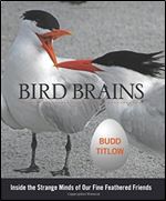 Bird Brains: Inside The Strange Minds Of Our Fine Feathered Friends