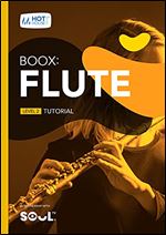 Boox: Flute: Level 2 - Tutorial