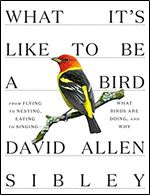 What It's Like to Be a Bird: From Flying to Nesting, Eating to Singing What Birds Are Doing, and Why (Sibley Guides)