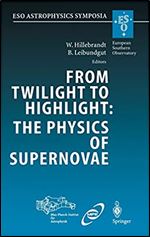 From Twilight to Highlight: The Physics of Supernovae: Proceedings of the ESO/MPA/MPE Workshop Held at Garching, Germany, 29-31 July 2002 (ESO Astrophysics Symposia)