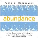 Abundance: On the Experience of Living in a World of Information Plenty [Audiobook]