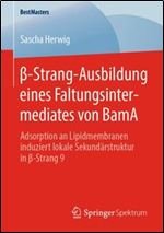 -Strang-Ausbildung eines Faltungsintermediates von BamA [German]