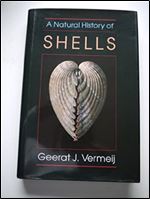 A Natural History of Shells (Princeton Science Library, 15)