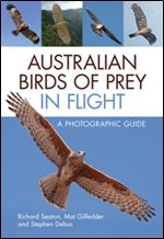 Australian Birds of Prey in Flight : A Photographic Guide