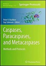 Caspases,Paracaspases, and Metacaspases: Methods and Protocols