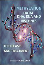Methylation From DNA, RNA and Histones to Diseases and Treatment