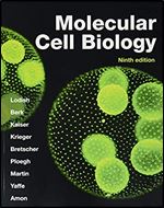 Molecular Cell Biology Ed 9
