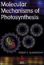 Molecular Mechanisms of Photosynthesis.