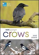 RSPB Spotlight Crows