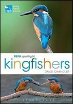 RSPB Spotlight Kingfishers