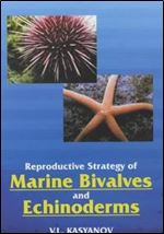 Reproductive strategy of marine Bivalves and echinoderms
