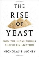 The Rise of Yeast: How the sugar fungus shaped civilisation