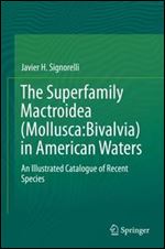 The Superfamily Mactroidea (Mollusca:Bivalvia) in American Waters: An Illustrated Catalogue of Recent Species