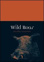 Wild Boar (Animal)