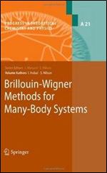 Brillouin-Wigner Methods for Many-Body Systems (Progress in Theoretical Chemistry and Physics)