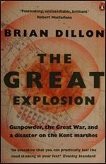 The Great Explosion: Gunpowder The Great War And The Anatomy Of Disaster