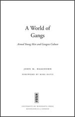 A World of Gangs: Armed Young Men and Gangsta Culture