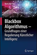 Blackbox Algorithmus Grundfragen einer Regulierung Kunstlicher Intelligenz [German]