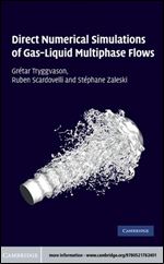Direct Numerical Simulations of Gas-Liquid Multiphase Flows (Cambridge Monographs on Applied & Computational Mathematics)