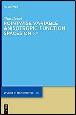 Pointwise Variable Anisotropic Function Spaces on  (de Gruyter Studies in Mathematics)