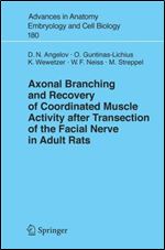 Axonal Branching and Recovery of Coordinated Muscle Activity after Transection of the Facial Nerve in Adult Rats