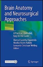 Brain Anatomy and Neurosurgical Approaches: A Practical, Illustrated, Easy-to-Use Guide