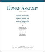 Human Anatomy Ed 7
